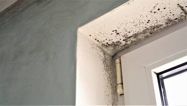 Asbestos and Lead Testing During Mold Inspection in Postville, IA