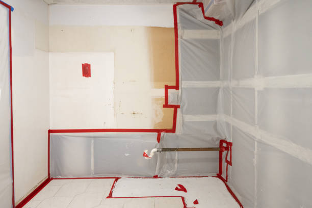 Best Dehumidification Services  in Postville, IA