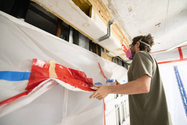 Best Air Quality Testing for Mold Spores  in Postville, IA
