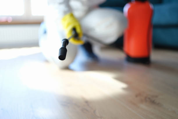 Best Emergency Mold Remediation  in Postville, IA