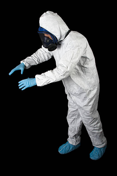 Best Asbestos and Lead Testing During Mold Inspection  in Postville, IA