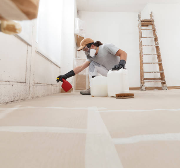 Mold Odor Removal Services in Postville, IA