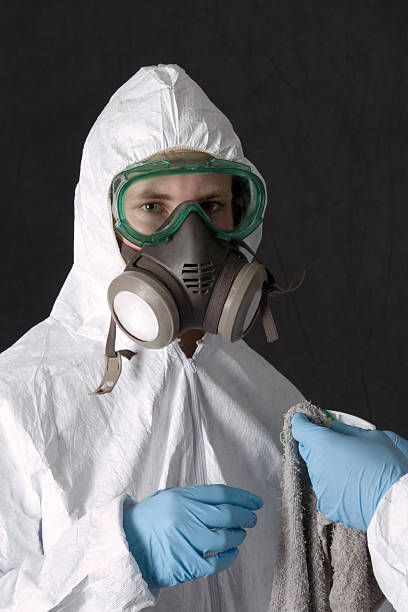 Reliable Postville, IA Mold Removal Solutions